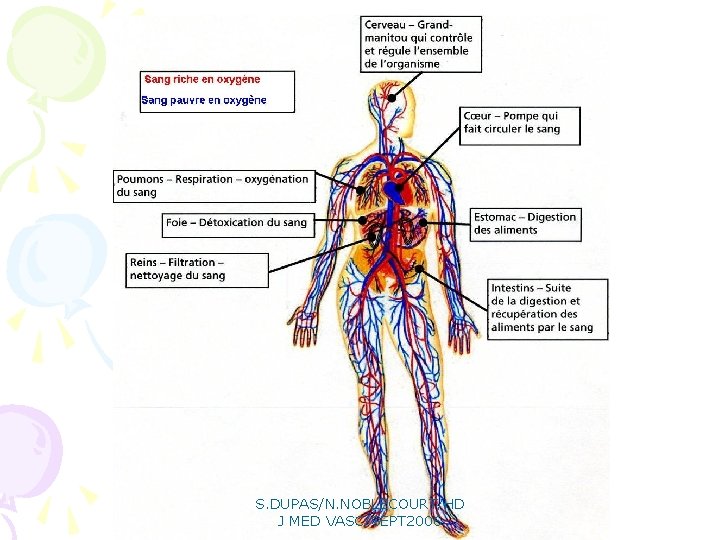 S. DUPAS/N. NOBLECOURT/HD J MED VASC/SEPT 2006 