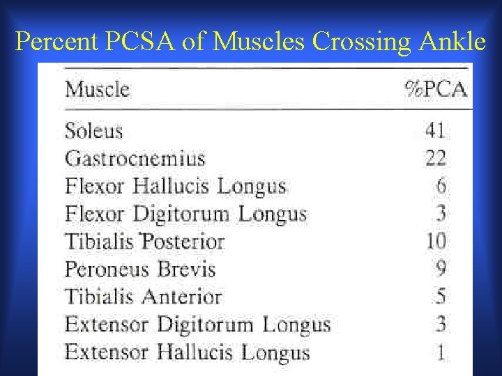 Percent PCSA of Muscles Crossing Ankle 