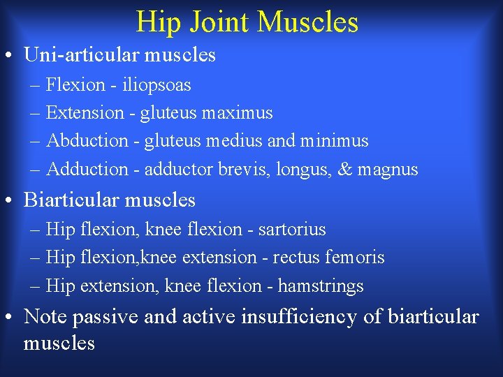 Hip Joint Muscles • Uni-articular muscles – Flexion - iliopsoas – Extension - gluteus