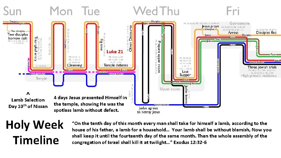 Luke 21 ^ Lamb Selection Day 10 th of Nissan 4 days Jesus presented