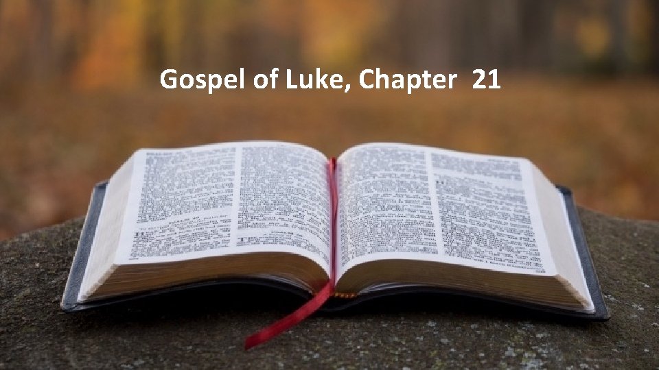 Gospel of Luke, Chapter 21 5 