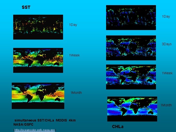 SST 1 Day 3 Days 1 Week 1 Month simultaneous SST/CHLa MODIS 4 km