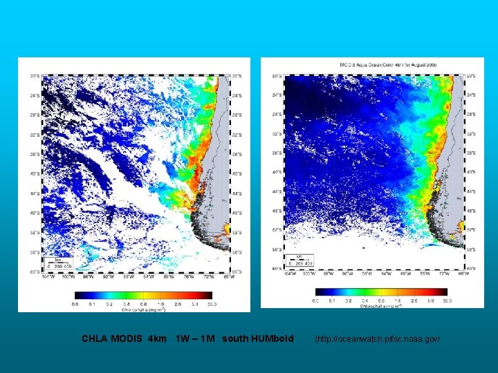 CHLA MODIS 4 km 1 W – 1 M south HUMbold (http: //oceanwatch. pifsc.