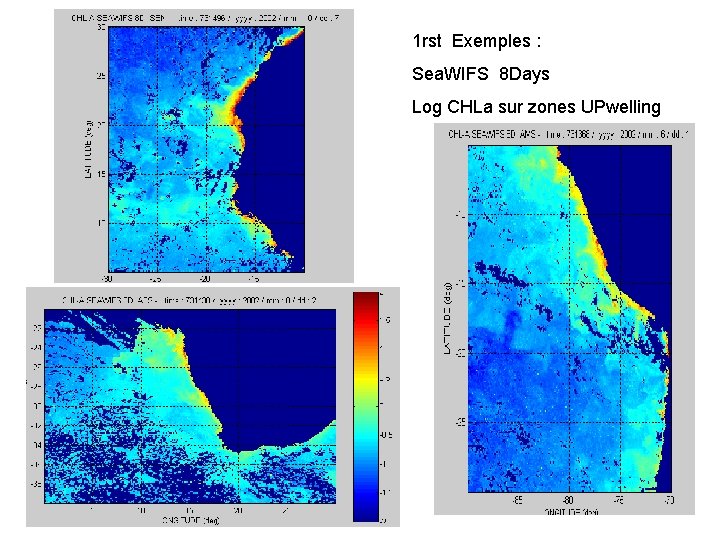 1 rst Exemples : Sea. WIFS 8 Days Log CHLa sur zones UPwelling 