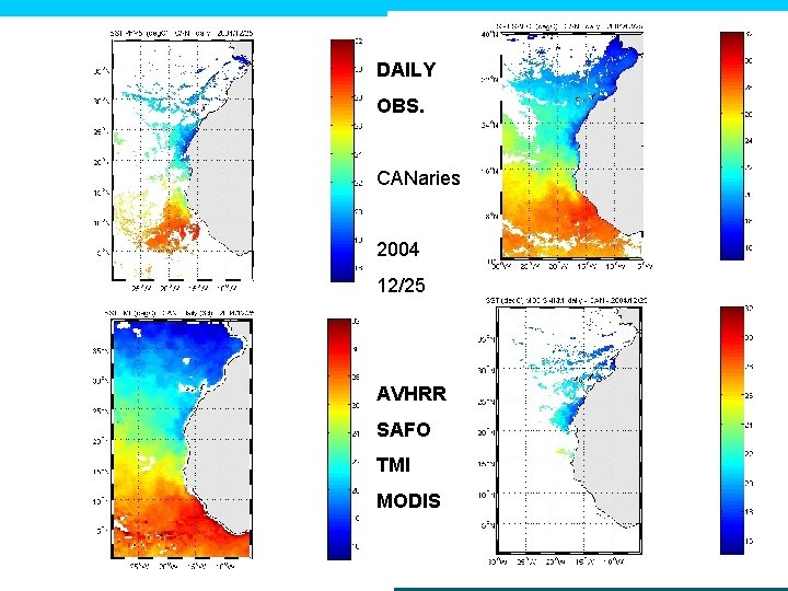 DAILY OBS. CANaries 2004 12/25 AVHRR SAFO TMI MODIS 