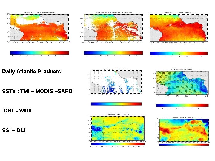 Daily Atlantic Products SSTs : TMI – MODIS –SAFO CHL - wind SSI –