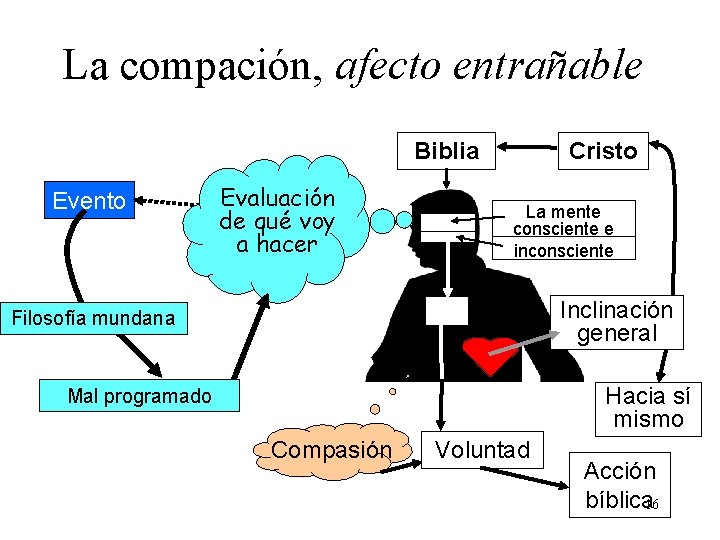 La compación, afecto entrañable Biblia Evento Evaluación de qué voy a hacer Cristo La