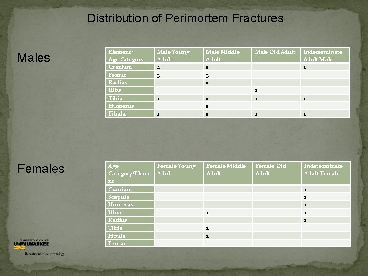 Distribution of Perimortem Fractures Males Element/ Age Category Cranium Femur Radius Ribs Tibia Humerus