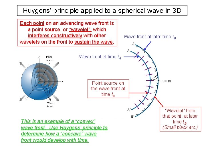 Huygens’ principle applied to a spherical wave in 3 D Each point on an Huygens’ principle applied to a spherical wave in 3 D Each point on an