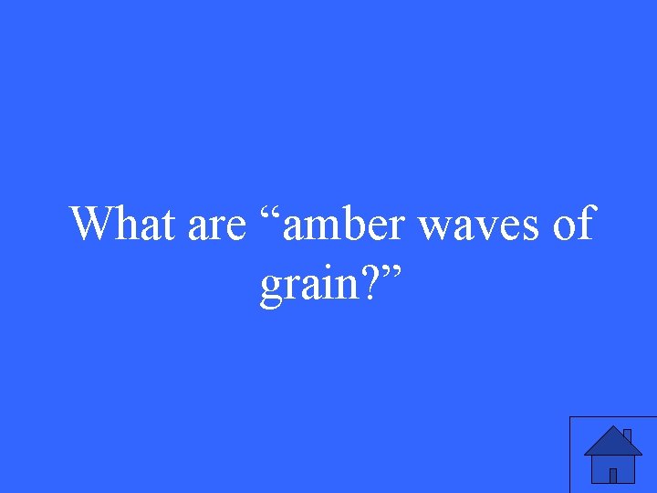 What are “amber waves of grain? ” 