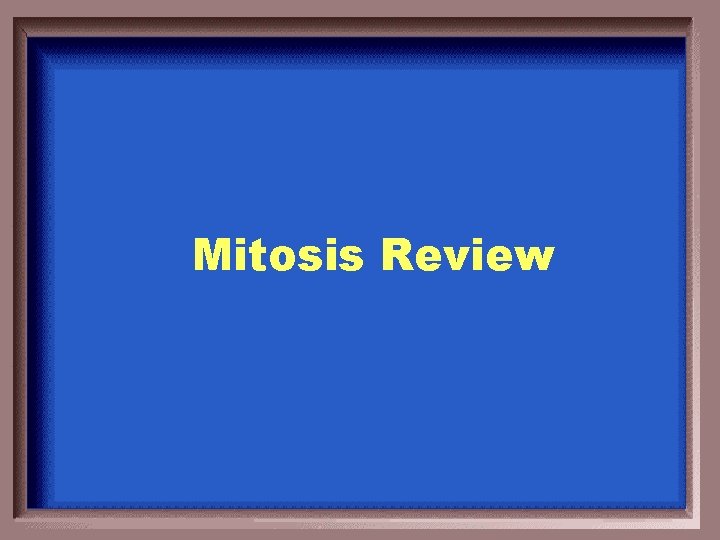 Mitosis Review 