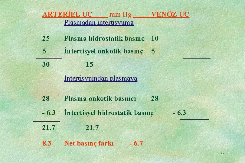 ARTERİEL UÇ mm Hg Plasmadan intertisyuma VENÖZ UÇ 25 Plasma hidrostatik basınç 10 5