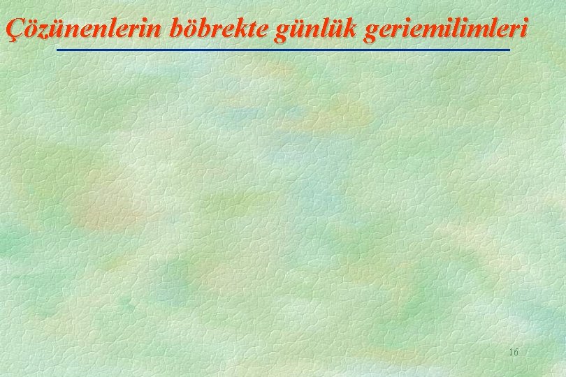 Çözünenlerin böbrekte günlük geriemilimleri 16 