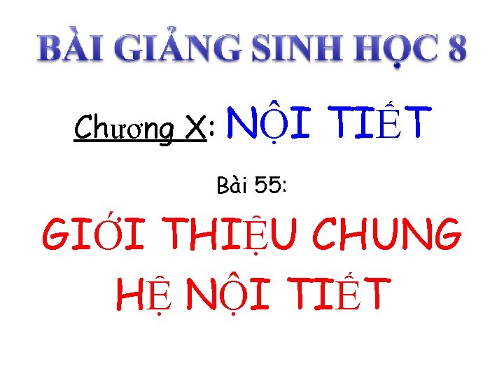 Chương X: NỘI TIẾT Bài 55: GIỚI THIỆU CHUNG HỆ NỘI TIẾT 