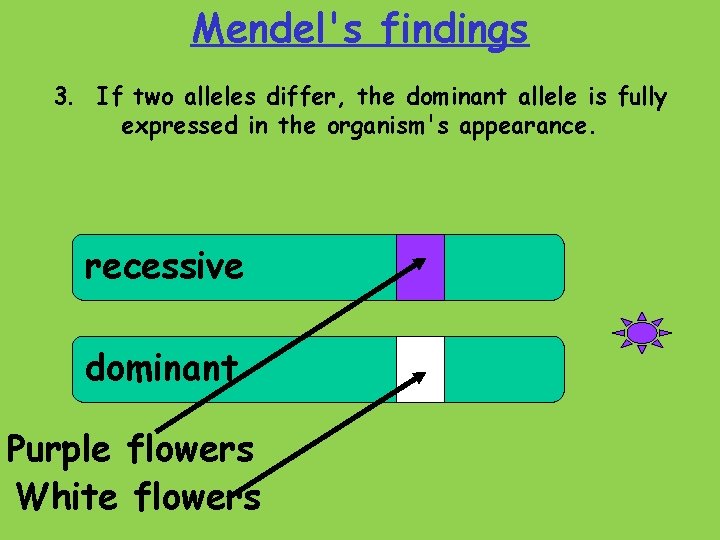 Mendel's findings 3. If two alleles differ, the dominant allele is fully expressed in
