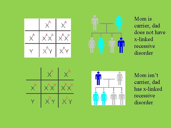 Mom is carrier, dad does not have x-linked recessive disorder Mom isn’t carrier, dad