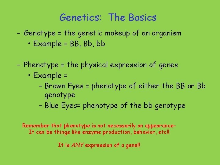 Genetics: The Basics – Genotype = the genetic makeup of an organism • Example