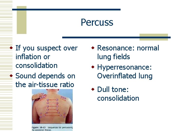 Percuss w If you suspect over inflation or consolidation w Sound depends on the