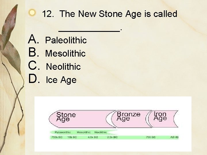 12. The New Stone Age is called ______. A. Paleolithic B. Mesolithic C. Neolithic