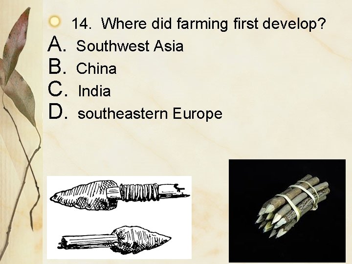 14. Where did farming first develop? A. Southwest Asia B. China C. India D.