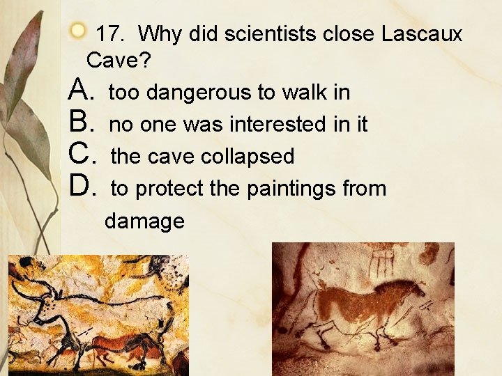 17. Why did scientists close Lascaux Cave? A. too dangerous to walk in B.