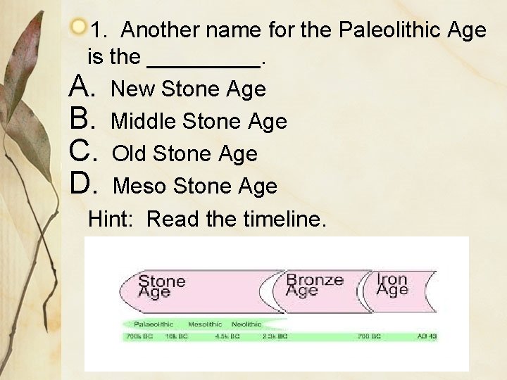 1. Another name for the Paleolithic Age is the _____. A. New Stone Age