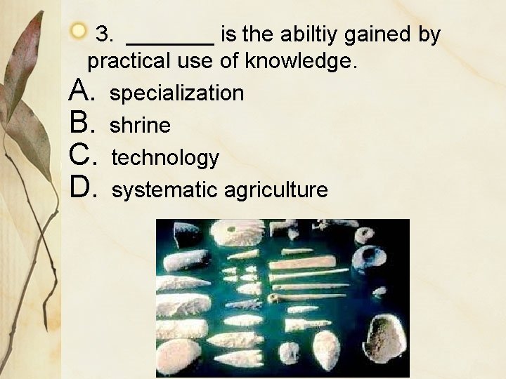 3. _______ is the abiltiy gained by practical use of knowledge. A. specialization B.