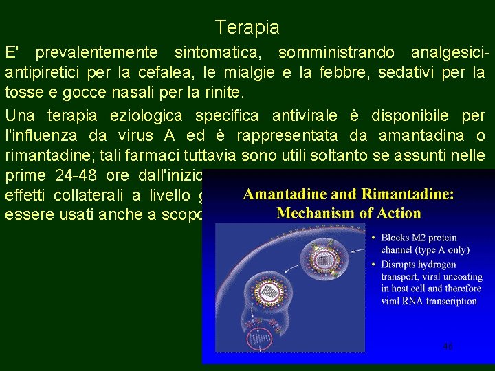 Terapia E' prevalentemente sintomatica, somministrando analgesiciantipiretici per la cefalea, le mialgie e la febbre,