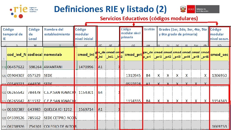 Definiciones RIE y listado (2) Servicios Educativos (códigos modulares) Código temporal de IE Código