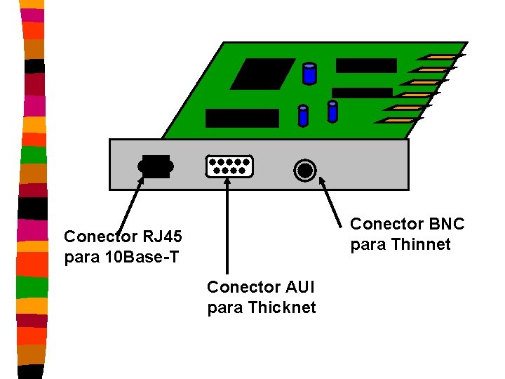 Conector BNC para Thinnet Conector RJ 45 para 10 Base-T Conector AUI para Thicknet