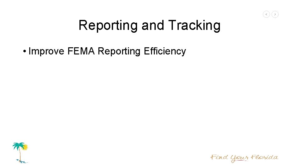 Reporting and Tracking • Improve FEMA Reporting Efficiency 