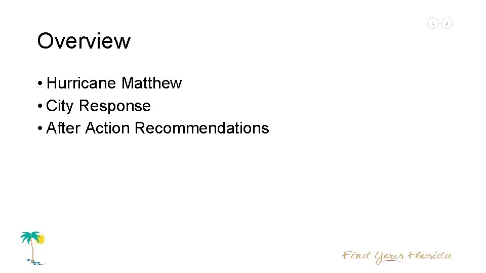 Overview • Hurricane Matthew • City Response • After Action Recommendations 