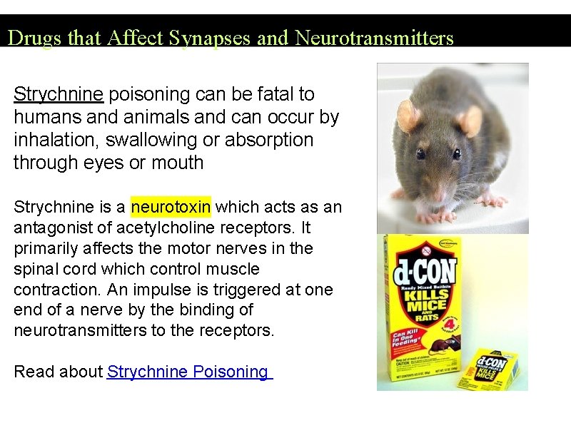 Drugs that Affect Synapses and Neurotransmitters Strychnine poisoning can be fatal to humans and