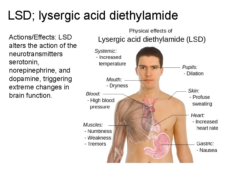 LSD; lysergic acid diethylamide Actions/Effects: LSD alters the action of the neurotransmitters serotonin, norepinephrine,