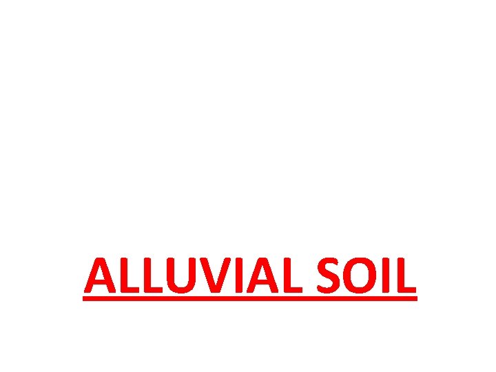 ALLUVIAL SOIL 