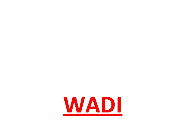 WADI 