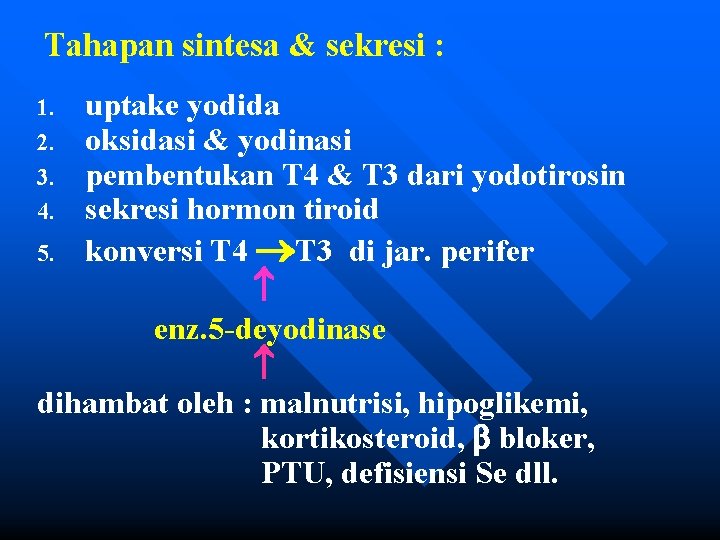 Tahapan sintesa & sekresi : 1. 2. 3. 4. 5. uptake yodida oksidasi &