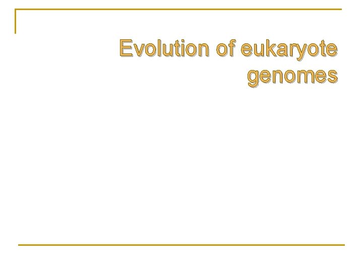Evolution of eukaryote genomes 