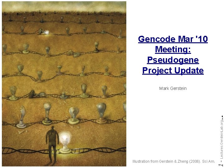 Gencode Mar '10 Meeting: Pseudogene Project Update Illustration from Gerstein & Zheng (2006). Sci