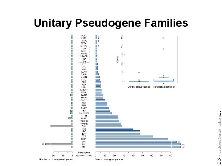 Do not reproduce without permission 13 - Lectures. Gerstein. Lab. org (c) '09 Unitary