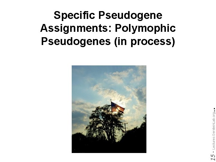 Do not reproduce without permission 15 - Lectures. Gerstein. Lab. org (c) '09 Specific