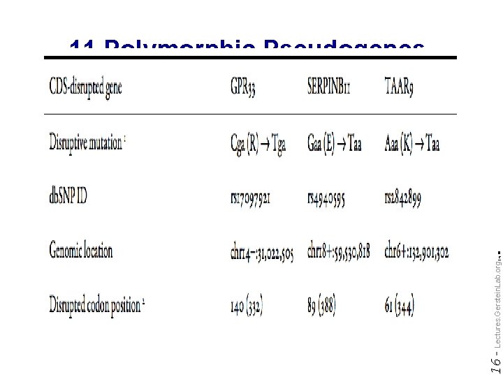 Do not reproduce without permission 16 - Lectures. Gerstein. Lab. org (c) '09 11