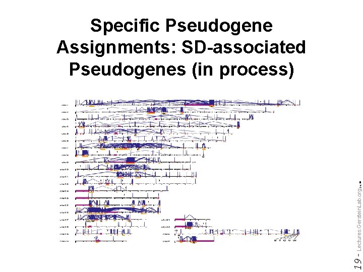 Do not reproduce without permission 19 - Lectures. Gerstein. Lab. org (c) '09 Specific