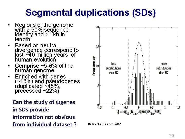 Segmental duplications (SDs) • Regions of the genome with 90% sequence identity and 1