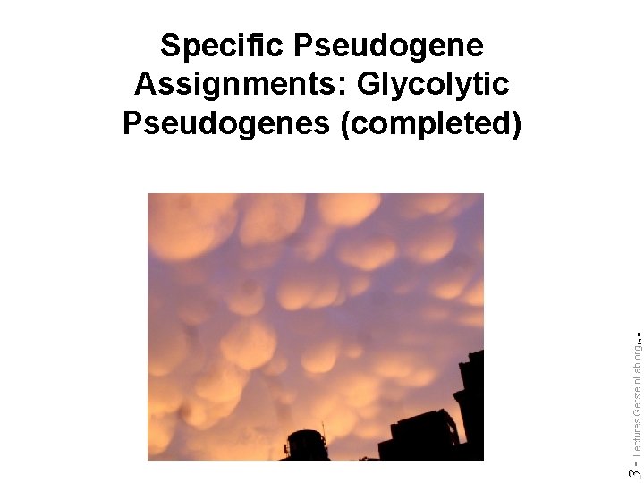 Do not reproduce without permission 3 - Lectures. Gerstein. Lab. org (c) '09 Specific