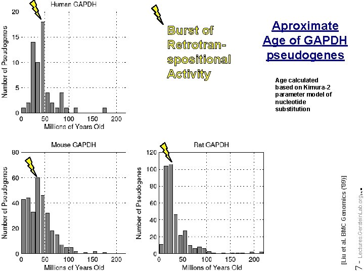 Aproximate Age of GAPDH pseudogenes 7 - Lectures. Gerstein. Lab. org Do not reproduce