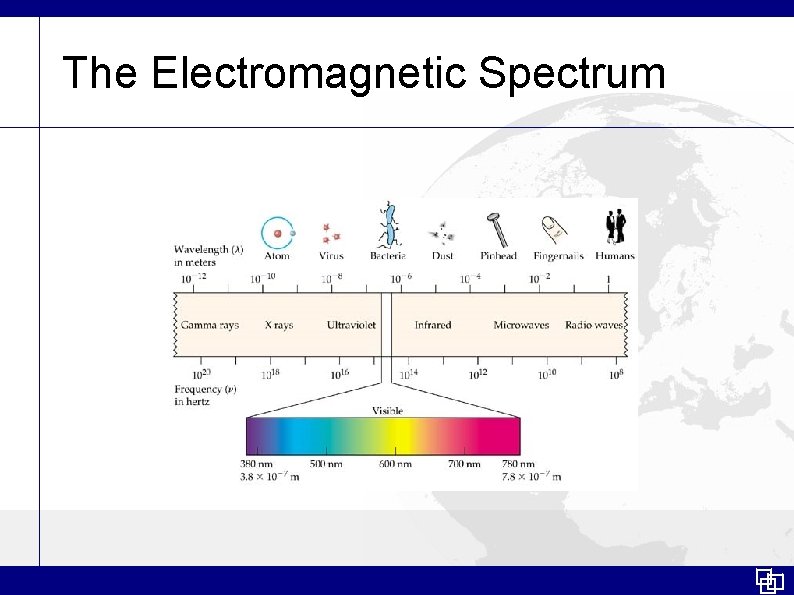 The Electromagnetic Spectrum 