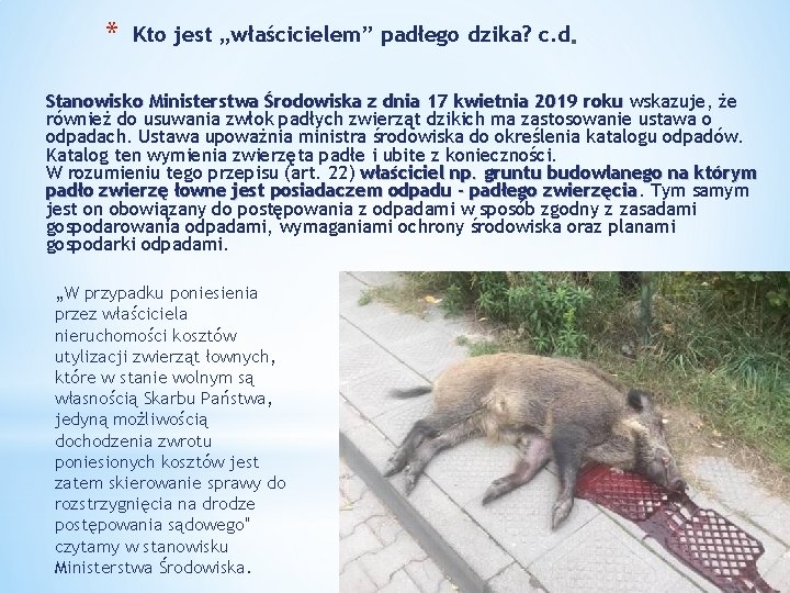 * Kto jest „właścicielem” padłego dzika? c. d Stanowisko Ministerstwa Środowiska z dnia 17