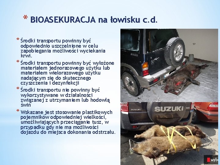 * BIOASEKURACJA na łowisku c. d. * Środki transportu powinny być odpowiednio uszczelnione w