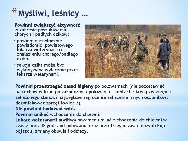 * Myśliwi, leśnicy … Powinni zwiększyć aktywność w zakresie poszukiwania chorych i padłych dzików: